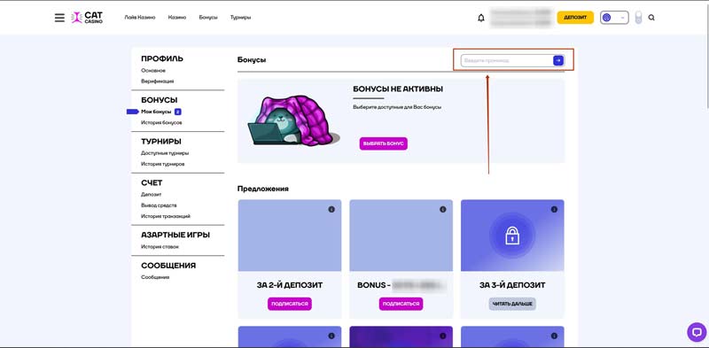 Бонусы по промокодам в Cat Casino