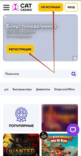 Казино Кэт в телефоне